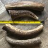 Elk Antler Chews - Image 3
