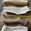 Elk Antler Chews - Image 8