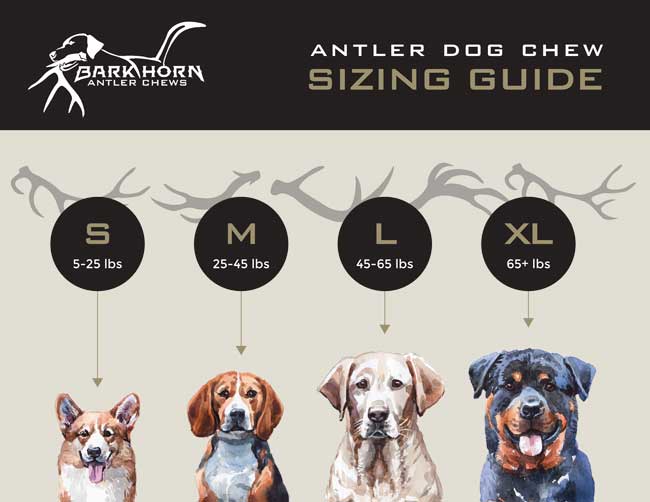 what-antler-chew-is-best-for-my-dog-Guide